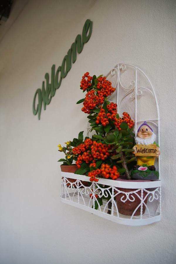 Aalkie'S Dream Apartment Swellendam Exterior foto
